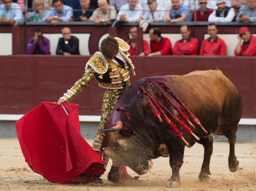 Madrid, viernes 24 de mayo de 2019