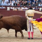 Madrid, viernes 24 de mayo de 2019