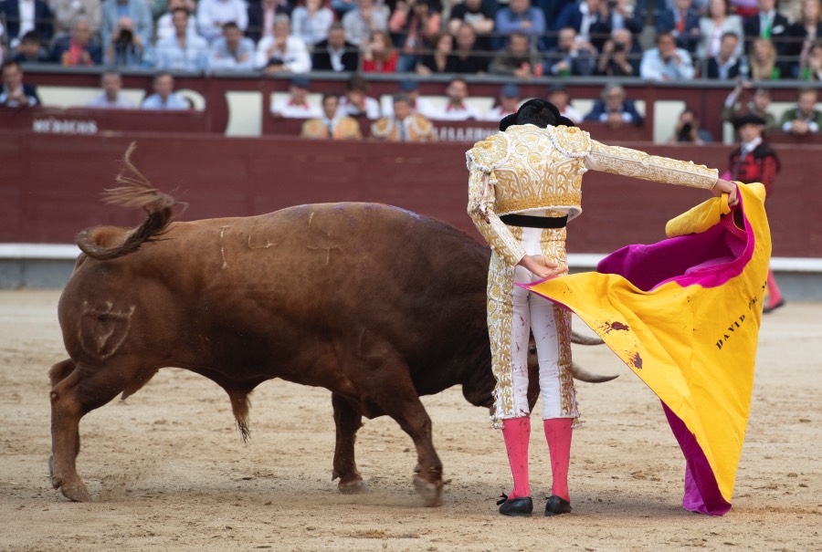 Madrid, viernes 24 de mayo de 2019