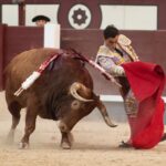 Madrid, viernes 24 de mayo de 2019