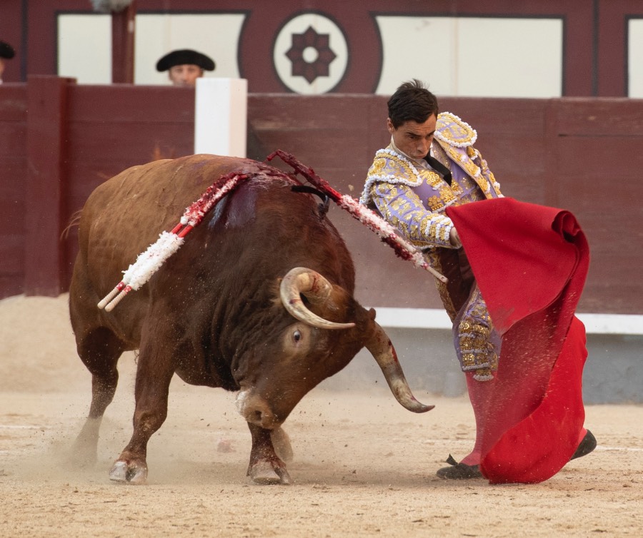 Madrid, viernes 24 de mayo de 2019