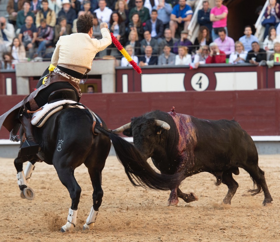Madrid, domingo 19 de mayo de 2019