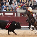 Madrid, domingo 19 de mayo de 2019