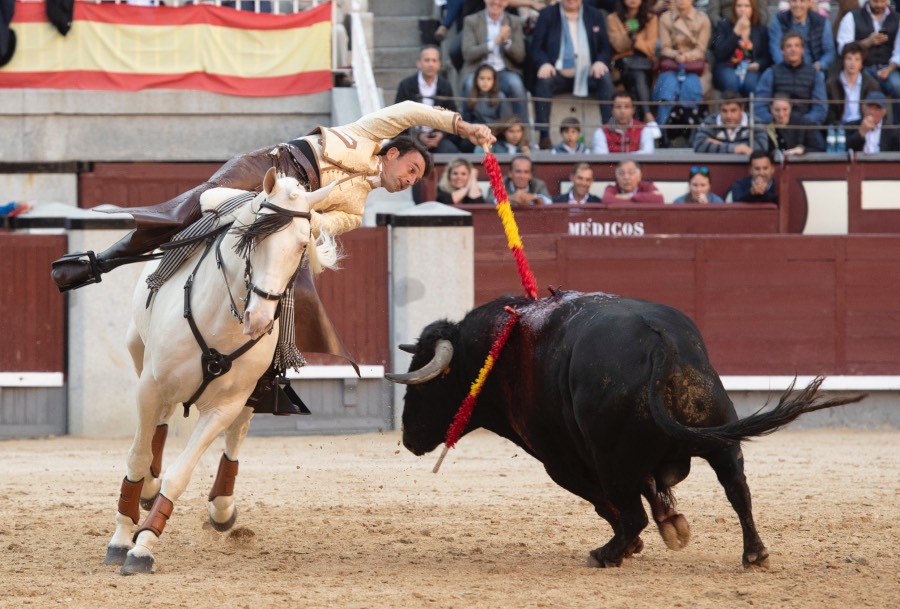 Madrid, domingo 19 de mayo de 2019