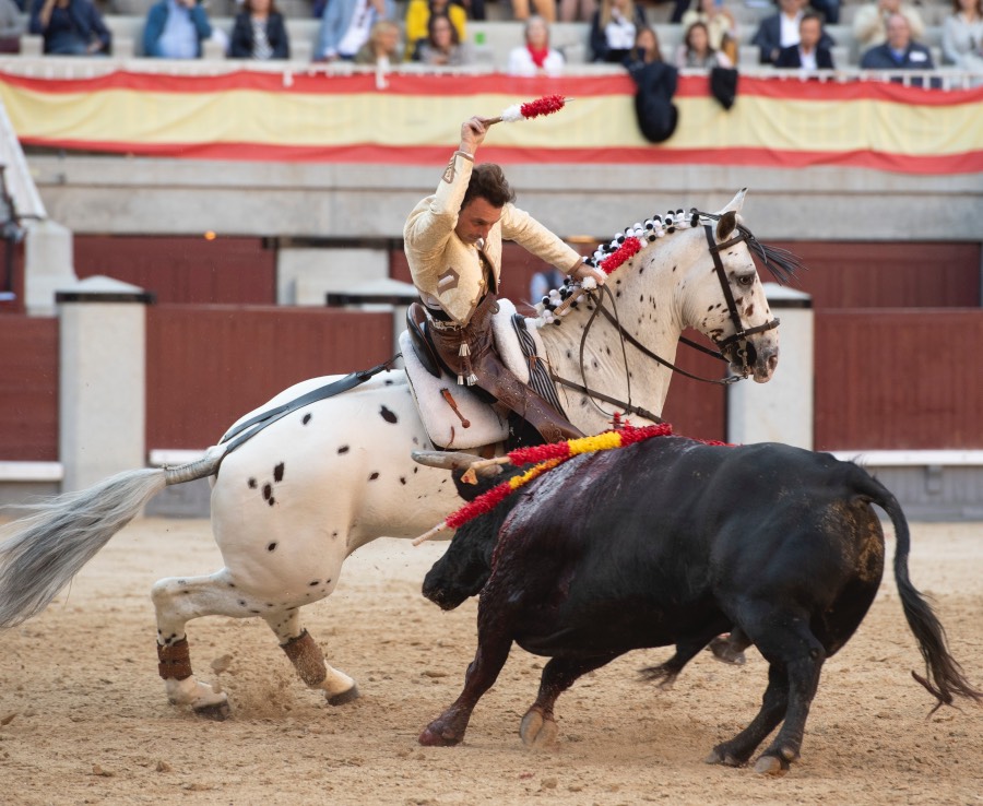 Madrid, domingo 19 de mayo de 2019