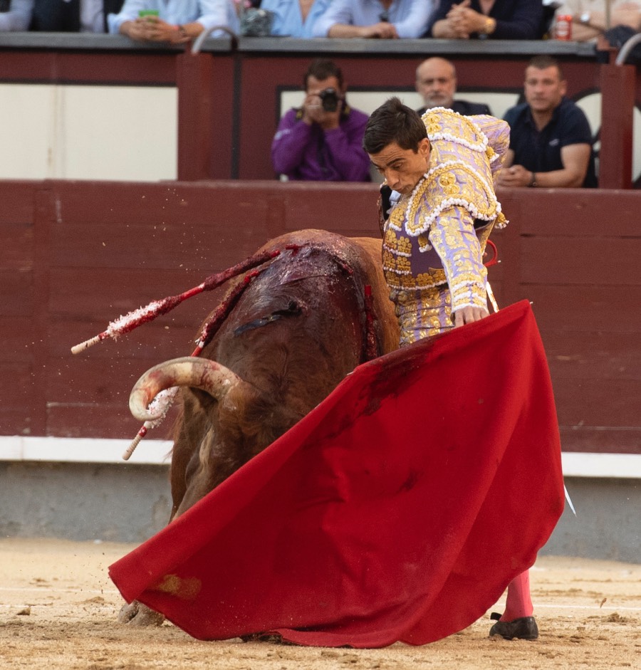 Madrid, viernes 24 de mayo de 2019