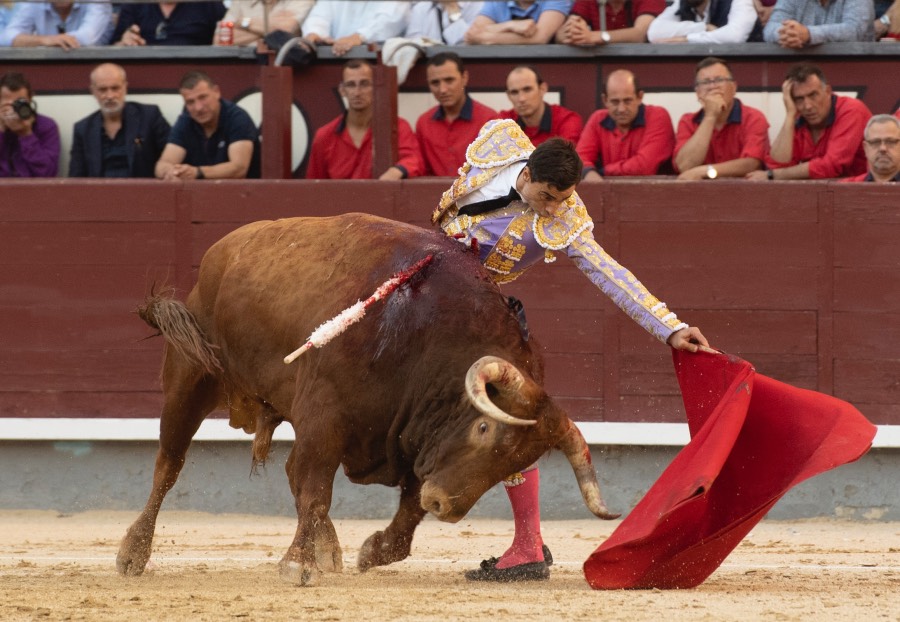 Madrid, viernes 24 de mayo de 2019