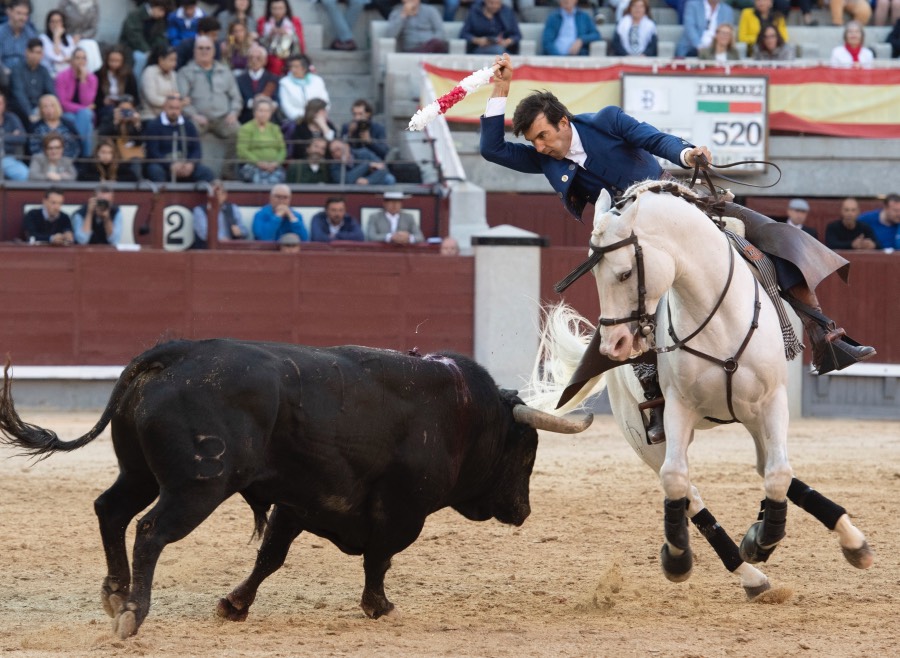 Madrid, domingo 19 de mayo de 2019