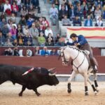 Madrid, domingo 19 de mayo de 2019