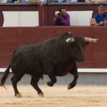 Madrid, viernes 24 de mayo de 2019