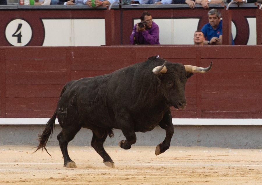 Madrid, viernes 24 de mayo de 2019
