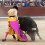 Madrid, viernes 24 de mayo de 2019