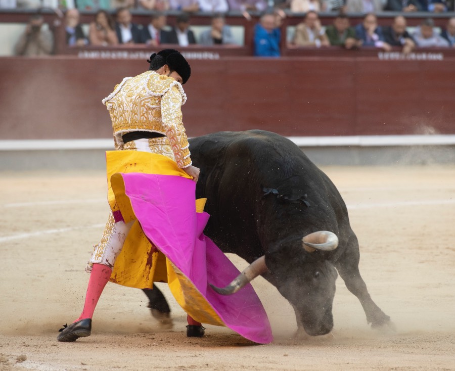 Madrid, viernes 24 de mayo de 2019