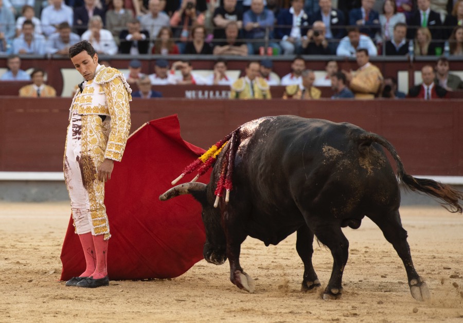 Madrid, viernes 24 de mayo de 2019