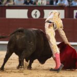 Madrid, viernes 24 de mayo de 2019