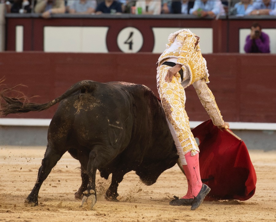 Madrid, viernes 24 de mayo de 2019