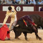 Madrid, viernes 24 de mayo de 2019