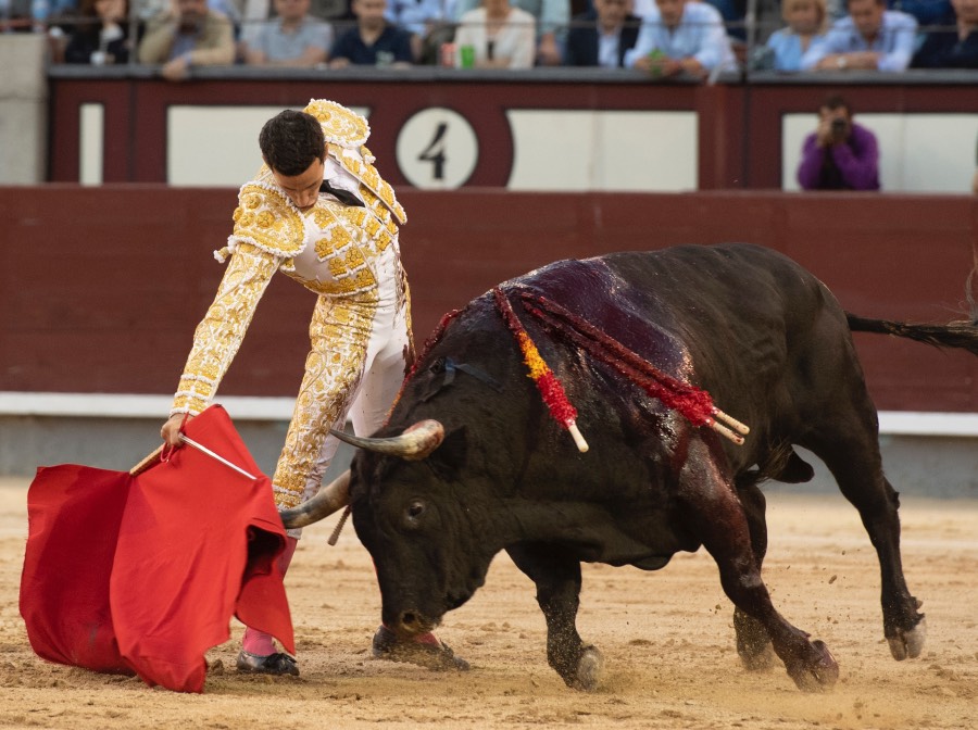 Madrid, viernes 24 de mayo de 2019