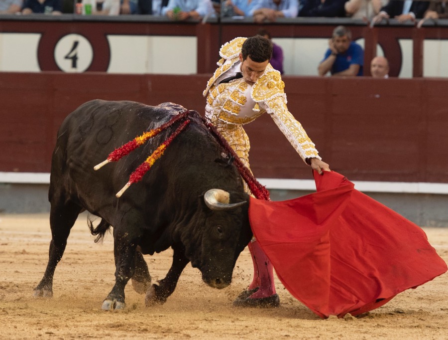 Madrid, viernes 24 de mayo de 2019