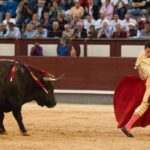 Madrid, viernes 24 de mayo de 2019