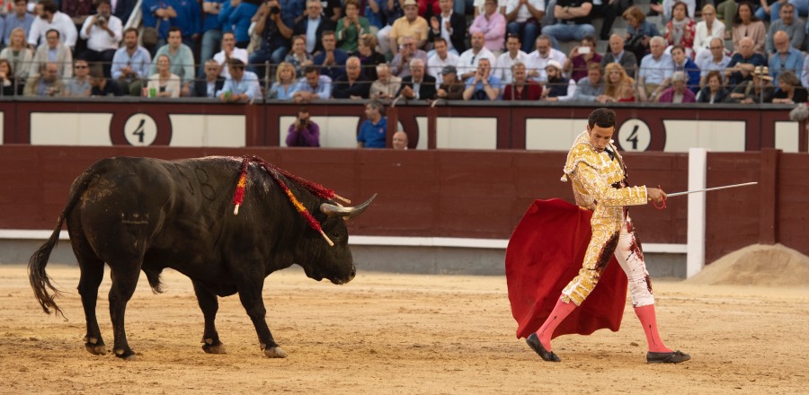 Madrid, viernes 24 de mayo de 2019