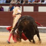 Madrid, viernes 24 de mayo de 2019