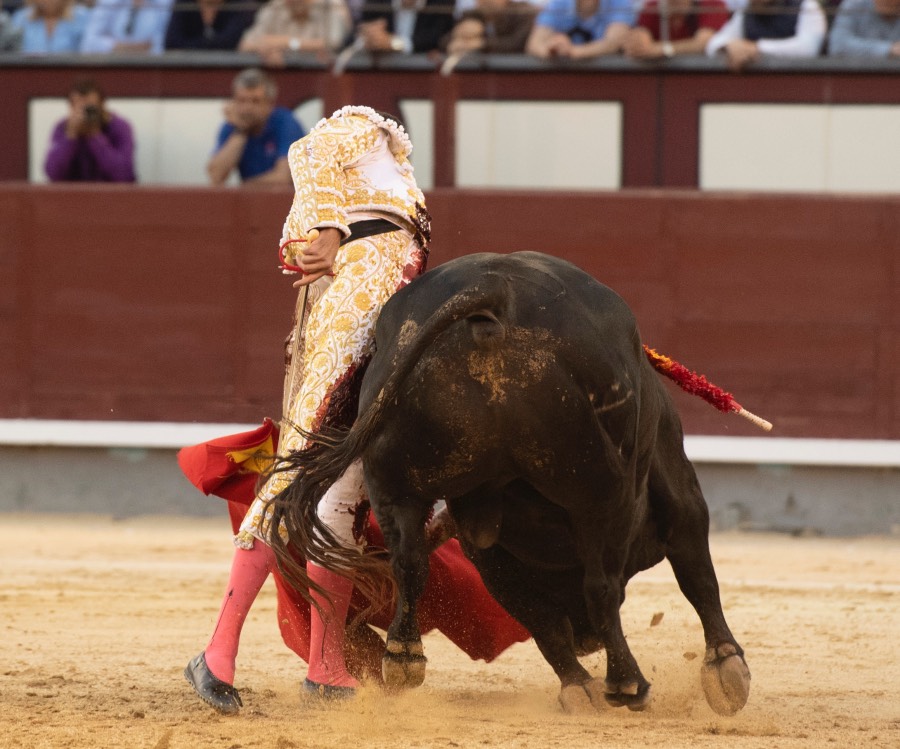Madrid, viernes 24 de mayo de 2019