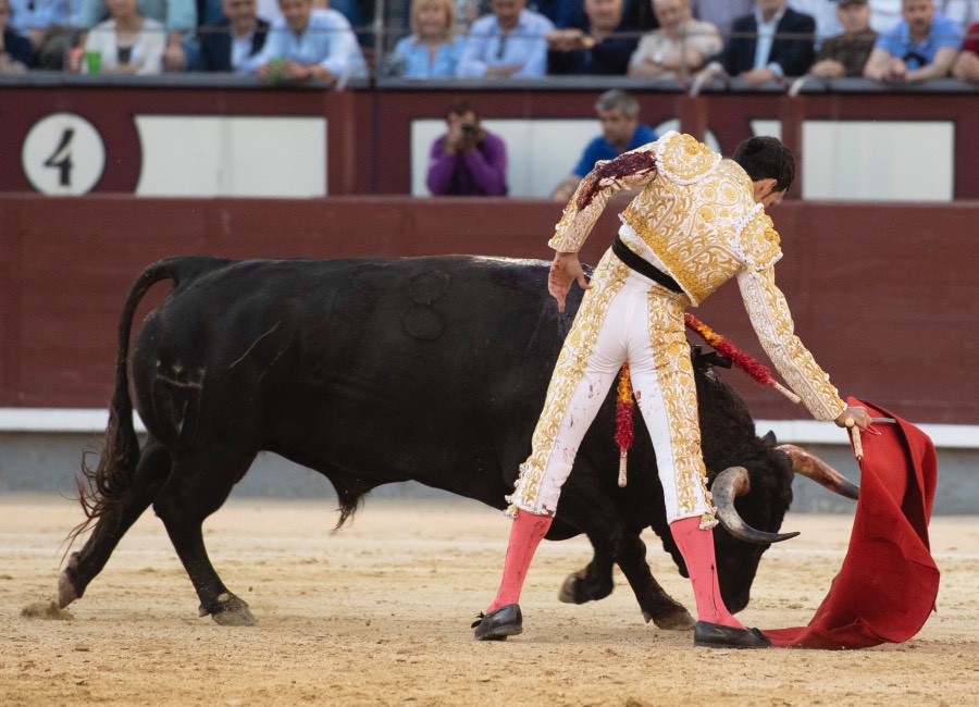 Madrid, viernes 24 de mayo de 2019