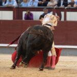 Madrid, viernes 24 de mayo de 2019