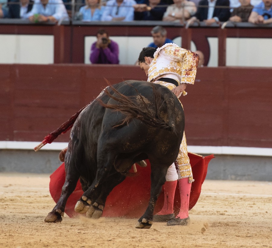 Madrid, viernes 24 de mayo de 2019