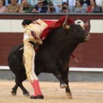 Madrid, viernes 24 de mayo de 2019