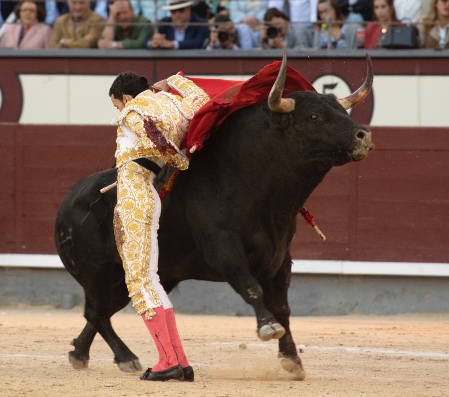 Madrid, viernes 24 de mayo de 2019
