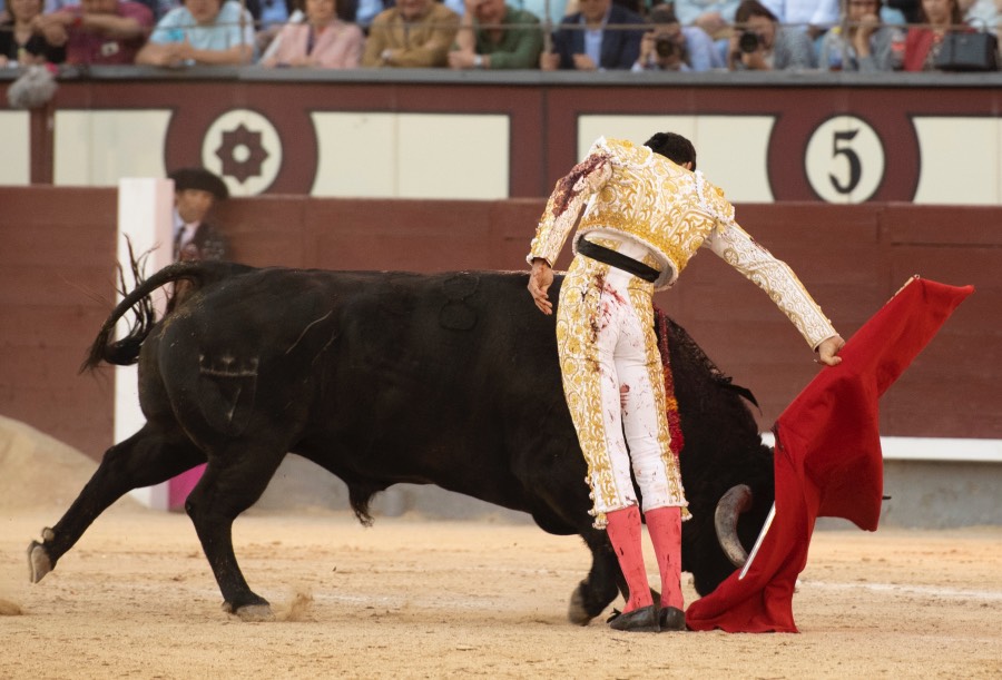 Madrid, viernes 24 de mayo de 2019