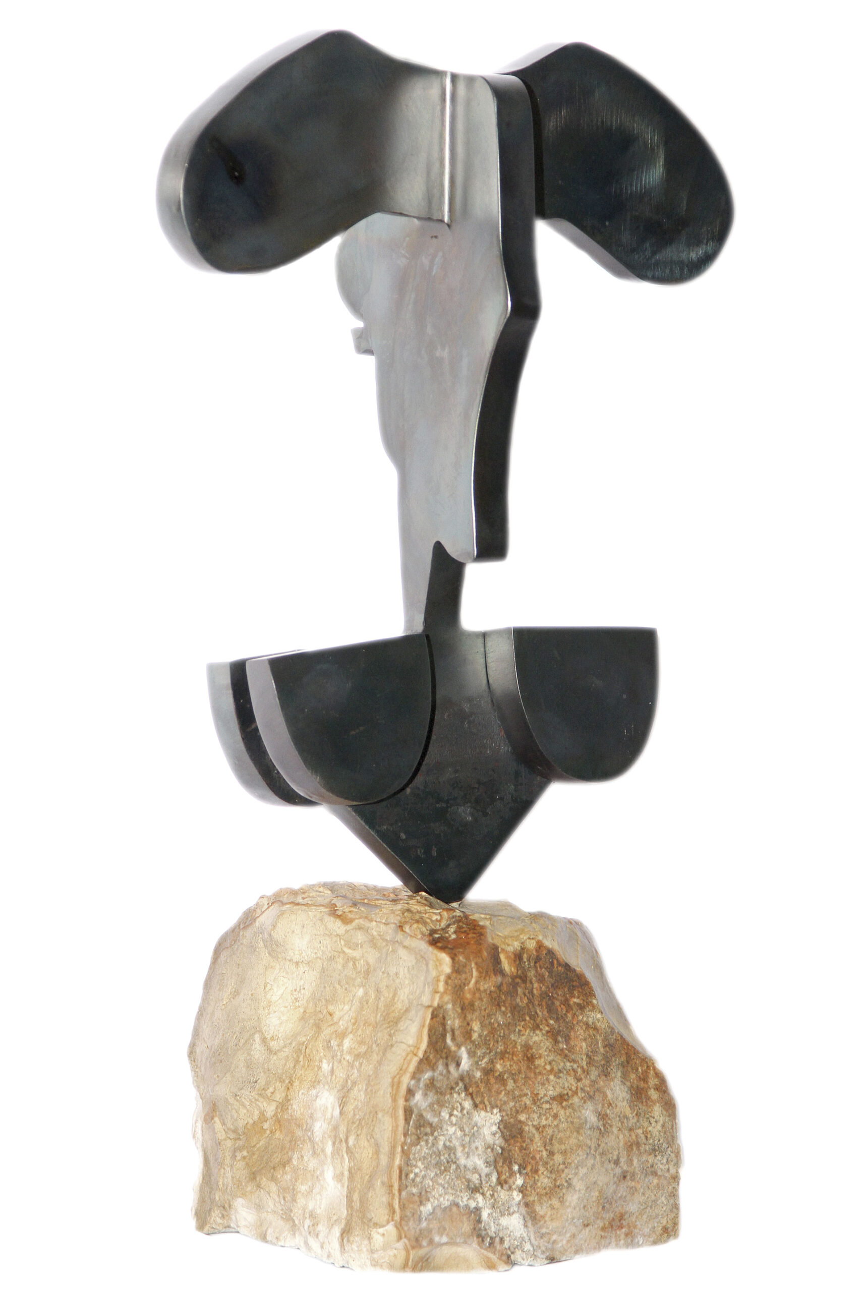 FIGURA.- Perfil y silueta que recuerda el busto de un torero.