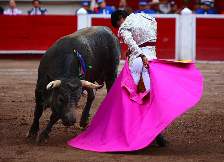 Aguascalientes, 1 de mayo de 2019.