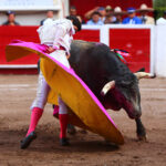 Aguascalientes, 1 de mayo de 2019.