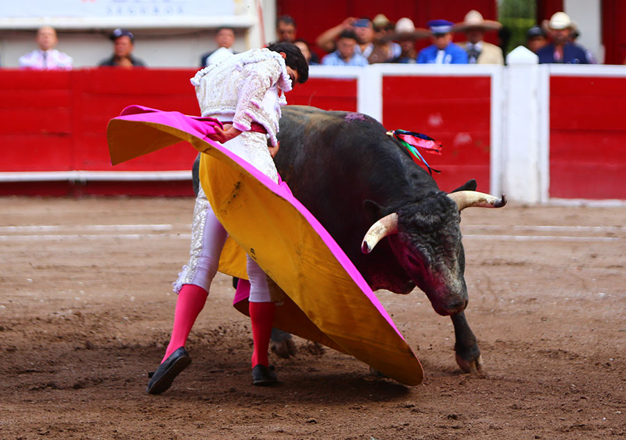 Aguascalientes, 1 de mayo de 2019.
