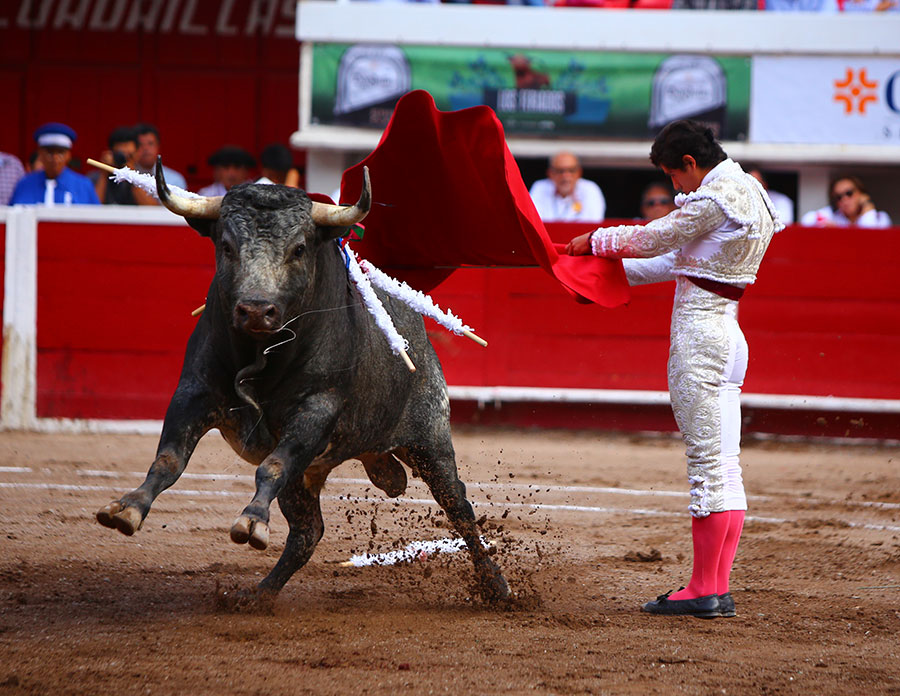 Aguascalientes, 1 de mayo de 2019.