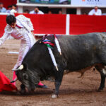 Aguascalientes, 1 de mayo de 2019.