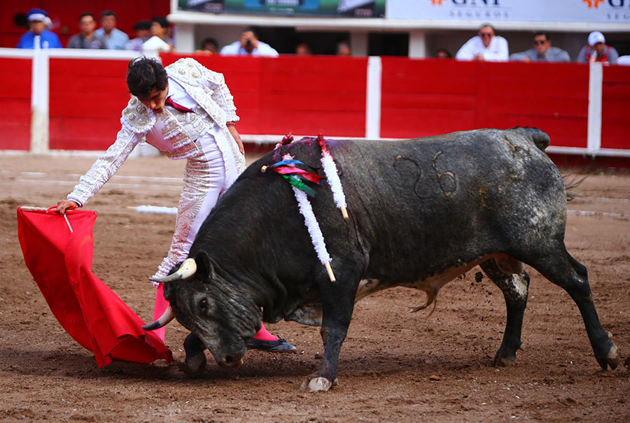 Aguascalientes, 1 de mayo de 2019.