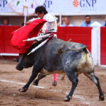 Aguascalientes, 1 de mayo de 2019.