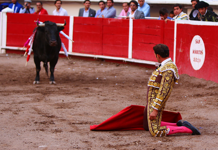 Aguascalientes, 1 de mayo de 2019.
