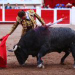 Aguascalientes, 1 de mayo de 2019.