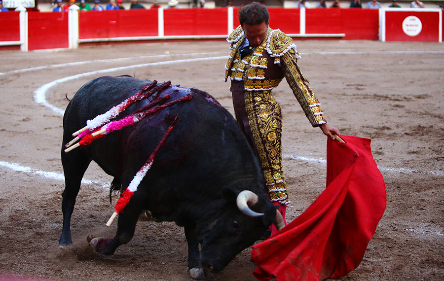 Aguascalientes, 1 de mayo de 2019.