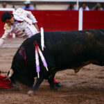 Aguascalientes, 1 de mayo de 2019.