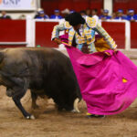 Aguascalientes, 1 de mayo de 2019.