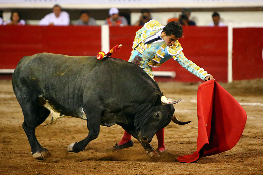 Aguascalientes, 1 de mayo de 2019.