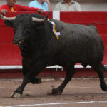 Aguascalientes, viernes 3 de mayo de 2019