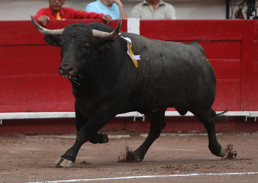 Aguascalientes, viernes 3 de mayo de 2019