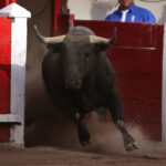 Aguascalientes, viernes 3 de mayo de 2019